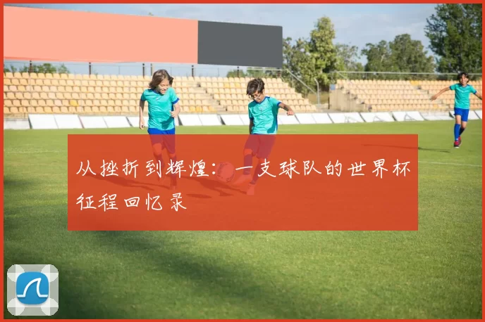从挫折到辉煌：一支球队的世界杯征程回忆录
