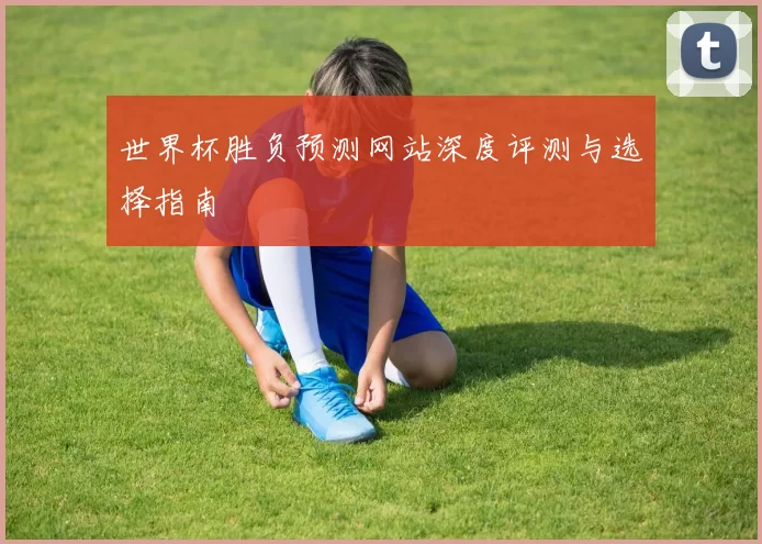 世界杯胜负预测网站深度评测与选择指南