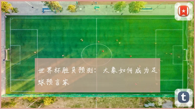 世界杯胜负预测:大象如何成为足球预言家