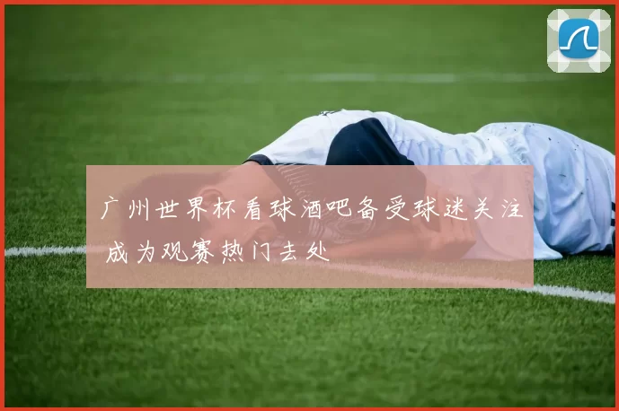 广州世界杯看球酒吧备受球迷关注 成为观赛热门去处