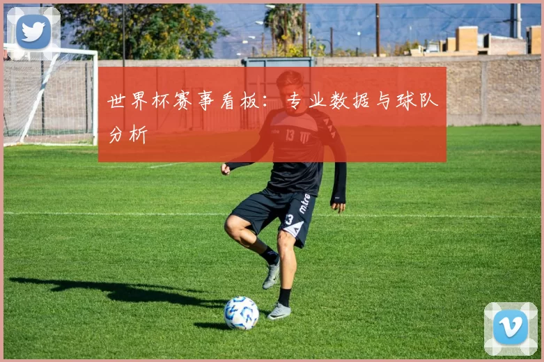 世界杯赛事看板：专业数据与球队分析