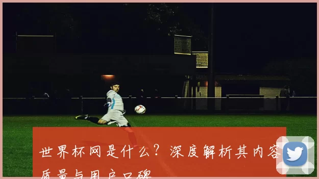 世界杯网是什么?深度解析其内容质量与用户口碑