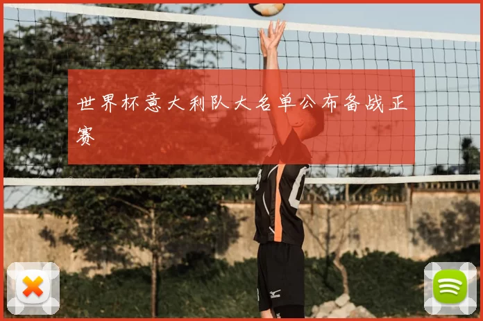 世界杯意大利队大名单公布备战正赛