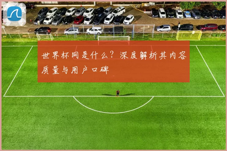 世界杯网是什么？深度解析其内容质量与用户口碑