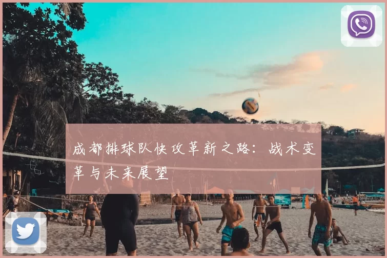 成都排球队快攻革新之路:战术变革与未来展望