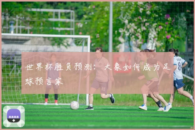 世界杯胜负预测:大象如何成为足球预言家