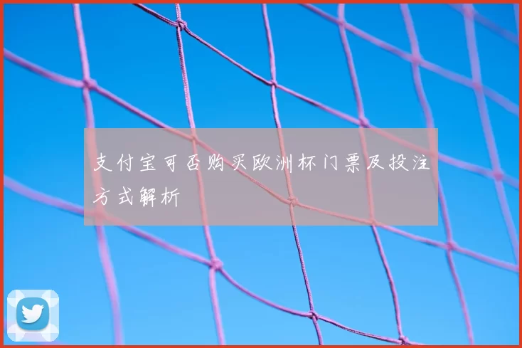 支付宝可否购买欧洲杯门票及投注方式解析
