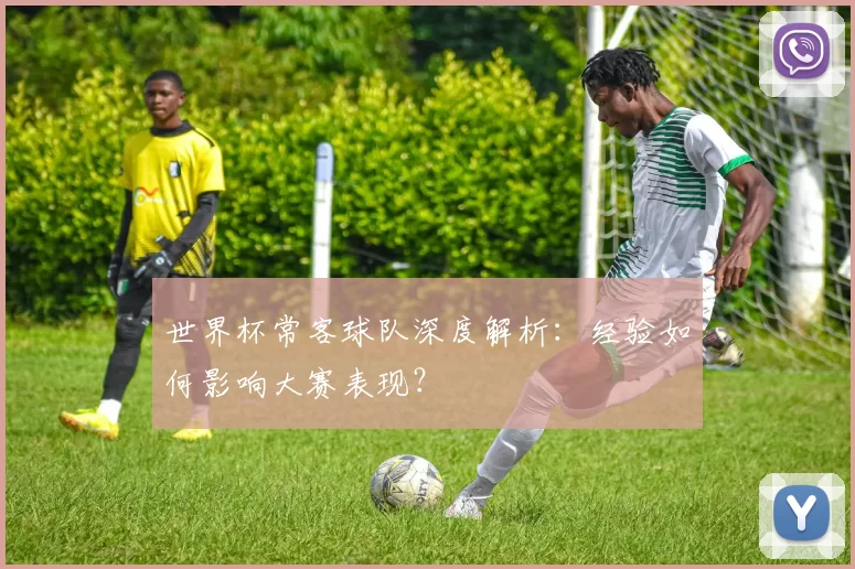世界杯常客球队深度解析:经验如何影响大赛表现?