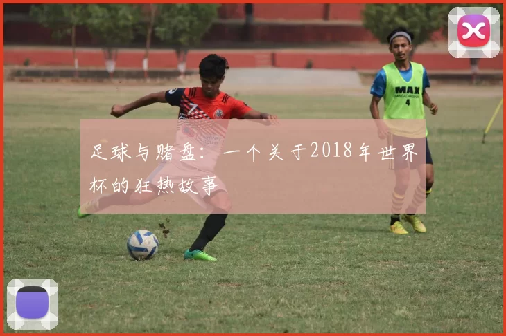 足球与赌盘:一个关于2018年世界杯的狂热故事